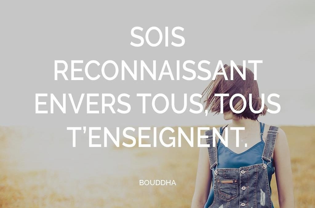 Remercier la vie