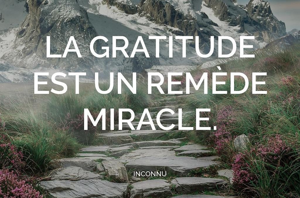 La gratitude au quotidien