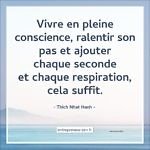 Vivre en pleine conscience, ralentir son pas et ajouter chaque secondes et chaque respiration, cela suffit. (Thich Nhat Hanh)