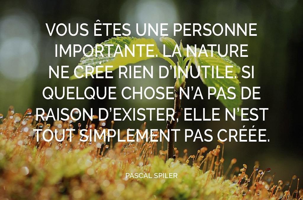 Tout à un sens