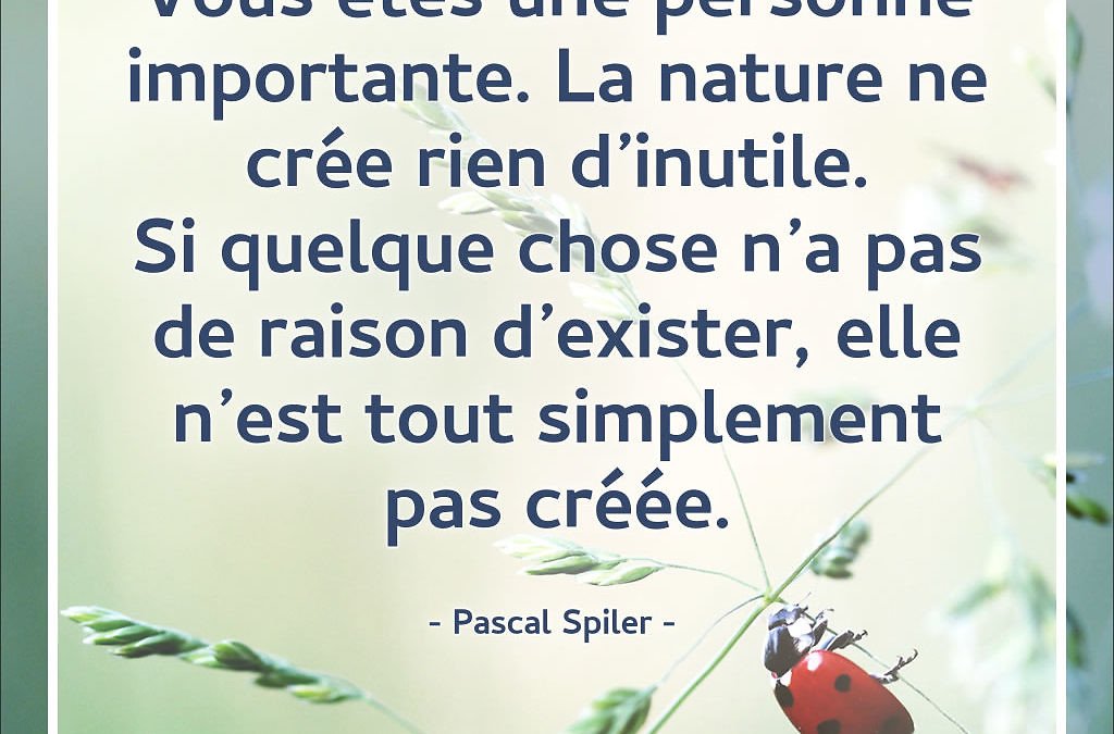 Tout à un sens