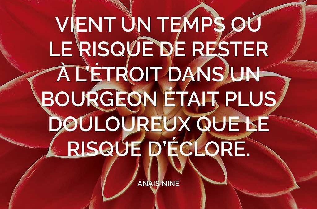 Ne passons pas à côté de notre vie