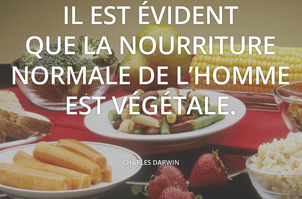 Les bienfaits de l’alimentation végétale