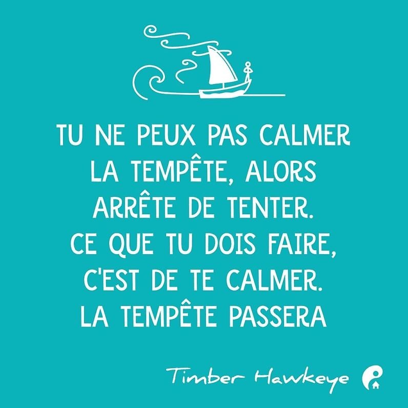 Tu ne peux pas calmer la tempête, alors arrête de tenter. Ce que tu dois faire, c'est de te calmer. La tempête passera. (Timber Hawkeye)