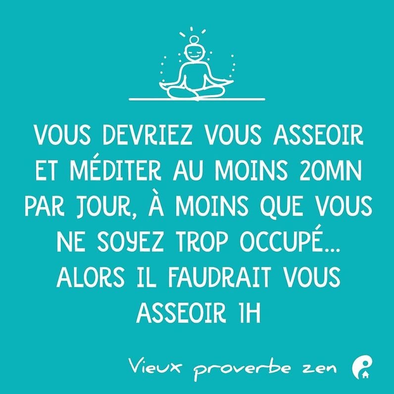 Vous devriez vous asseoir et méditer au moins 20mn par jour, à moins que vous ne soyez trop occupé... alors il faudrait vous asseoir 1h. (Vieux proverbe zen)