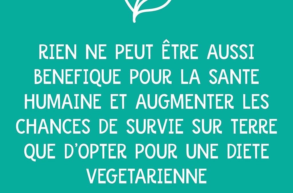 Les bienfaits de l’alimentation végétale