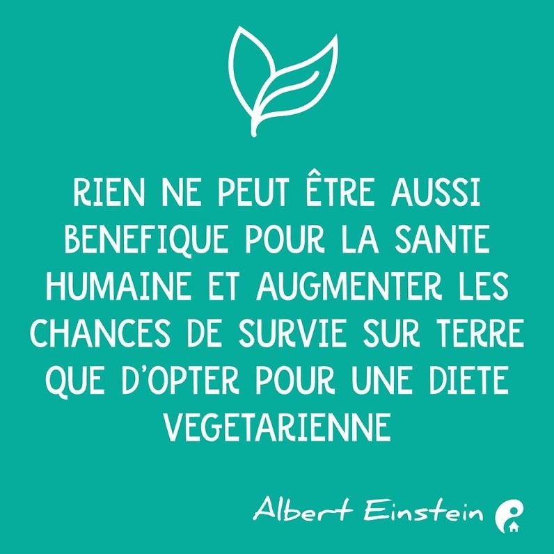 Rien ne peut être aussi bénéfique pour la santé humaine et augmenter les chances de survie sur terre que d'opter pour une diète végétarienne. (Albert Einstein)