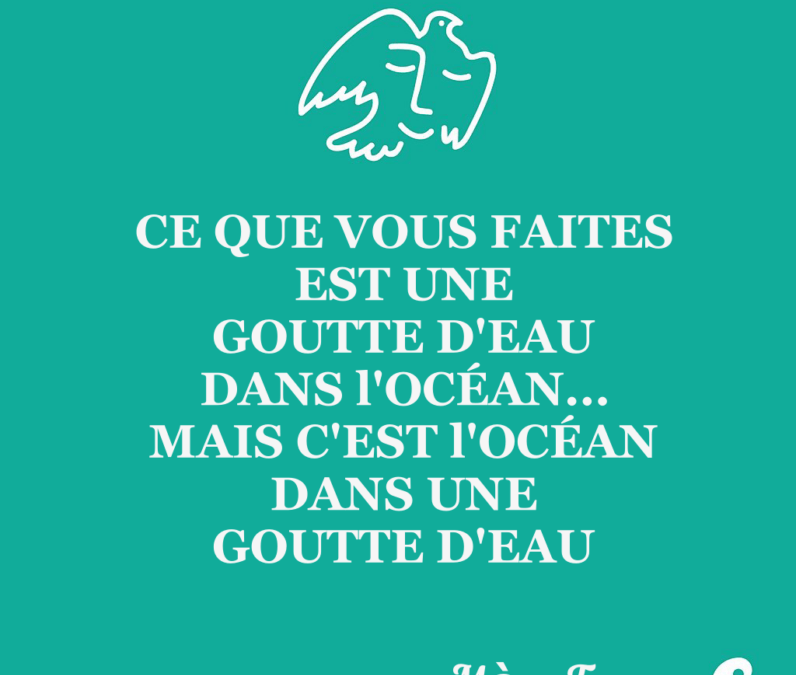 Ce que j’ai compris de l’argent